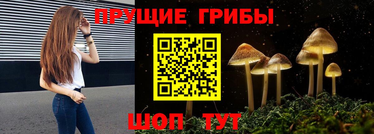 Галлюциногенные грибы Psilocybine cubensis  Вход с VPN  Добрянка 